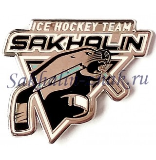 Sakhalin. Ice hockey team