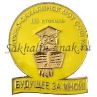 Южно-Сахалинск МОУ СОШ №9. III степени. "Будущее за мной"