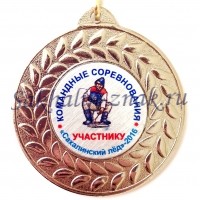 Командные соревнования "Сахалинский лед-2016" Участнику