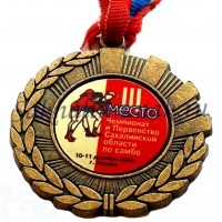Чемпионат и первенство Сахалинской области по самбо. III место. 10-11 декабря 2008 г.Холмск