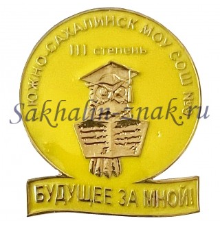 Южно-Сахалинск МОУ СОШ №9. III степени. "Будущее за мной"