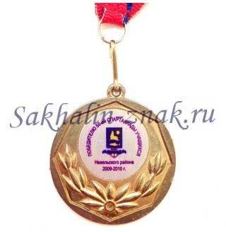 Победителю 50-ой спартакиады учащихся Невельского района 2009-2010 г.