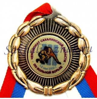 Чемпионат Сахалинской области по вольной борьбе. 1-2 мая 2009г. III Место 