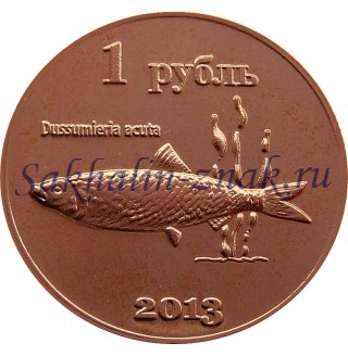 Монета 1 рубль 2013. Dussumieria acuta / Курильские острова. Кунашир