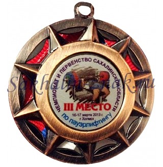 Чемпионат и первенство Сахалинской области по пауэрлифтингу 16-17 марта 2013 г. г.Холмск. III Место