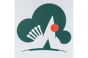В новом варианте логотипа городского парка Южно-Сахалинска увидели множество смыслов